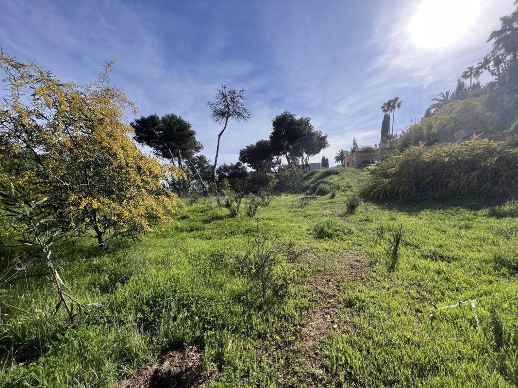 Terreno en venta en Marbella, Malaga photo 4