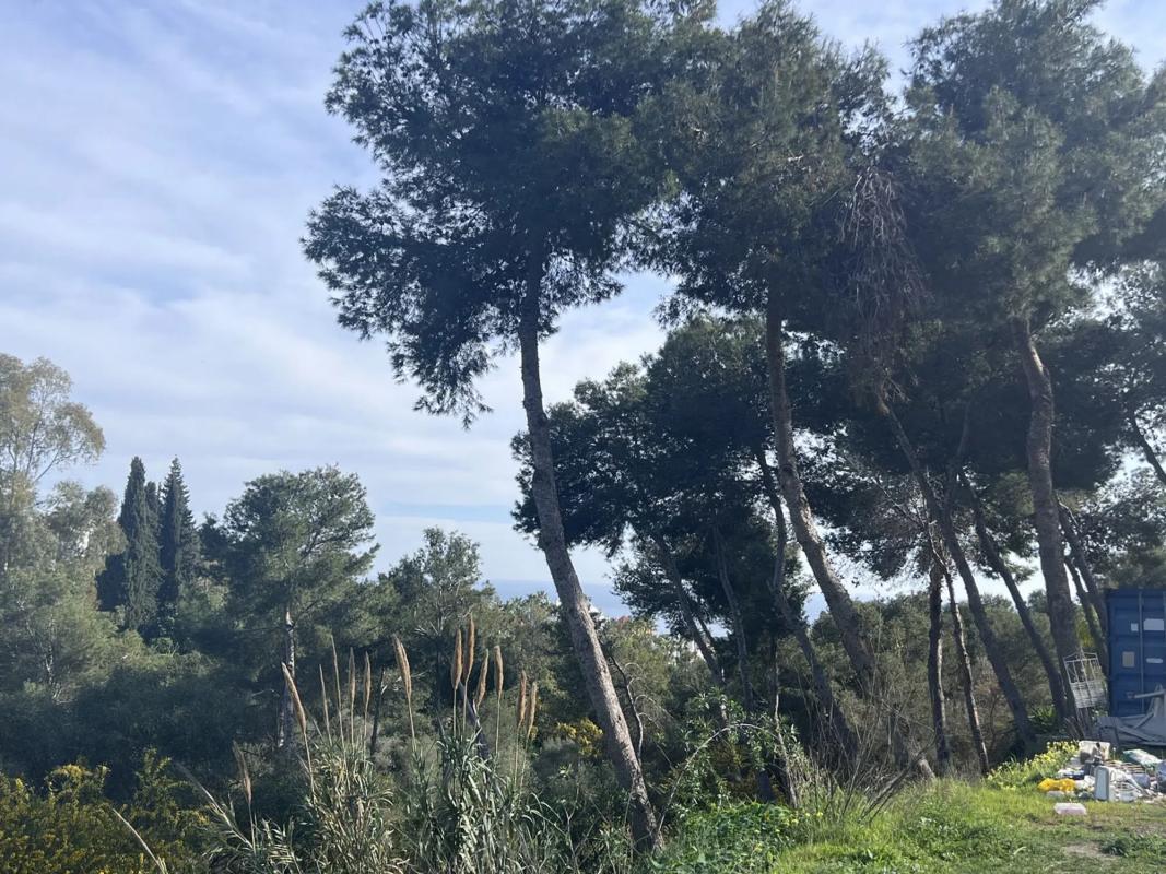 Terreno en venta en Marbella, Malaga photo 5