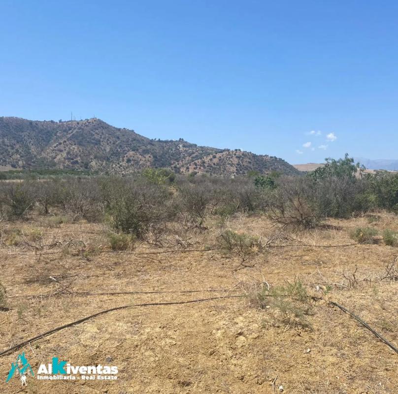 Terreno en venta en Pizarra, Malaga photo 1