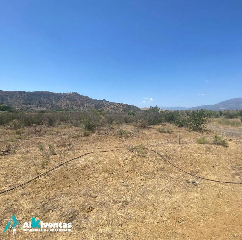 Terreno en venta en Pizarra, Malaga photo 2