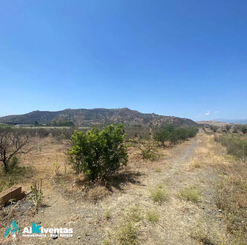 Terreno en venta en Pizarra, Malaga photo 3
