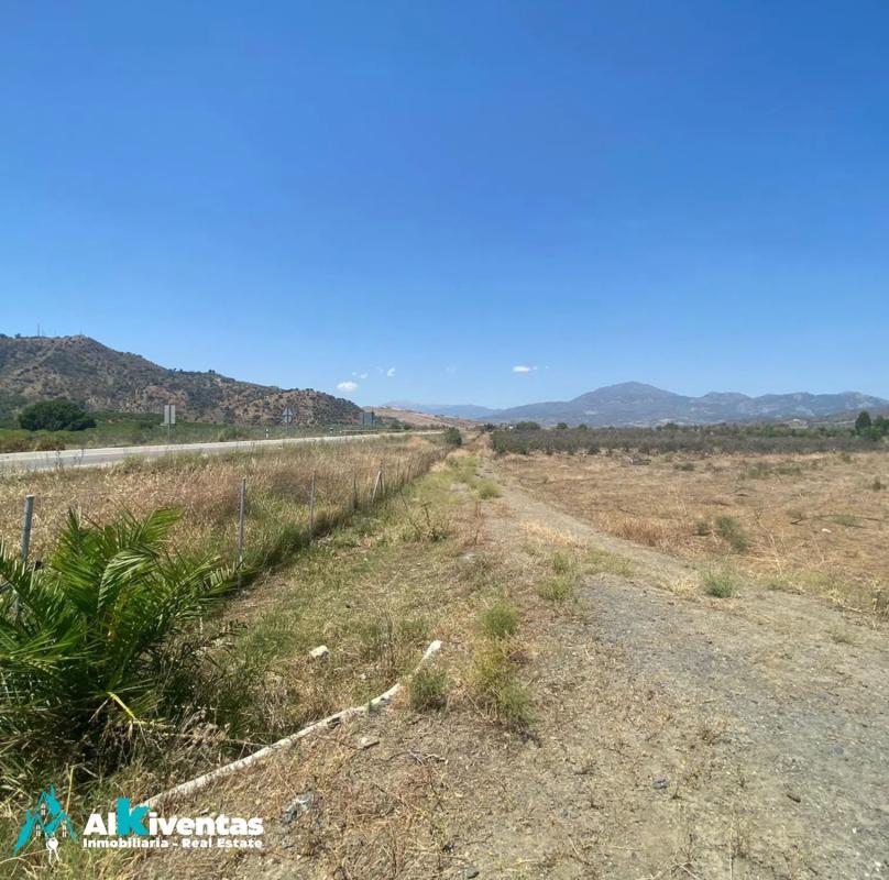 Terreno en venta en Pizarra, Malaga photo 4
