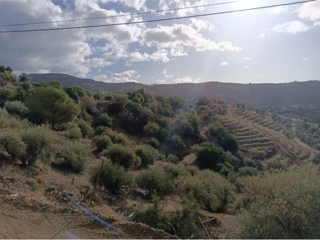 Terreno en venta en Sedella, Malaga photo 1
