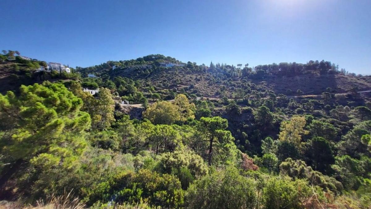 Terreno en venta en Benahavís, Malaga photo 4