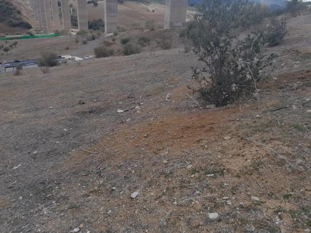 Land for sale in Alora, Malaga photo 1