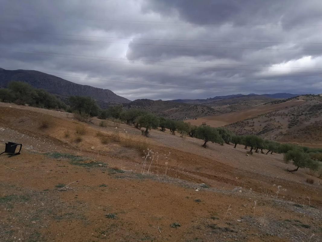 Land for sale in Alora, Malaga photo 2