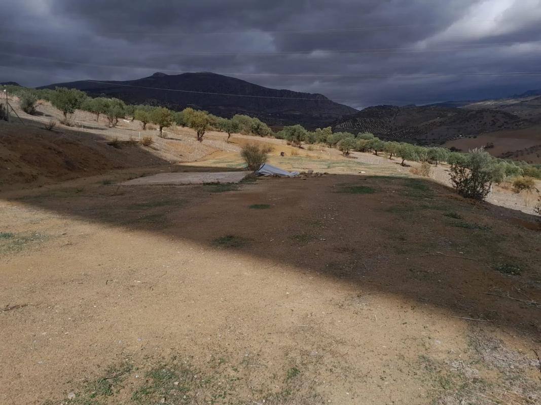 Land for sale in Alora, Malaga photo 3