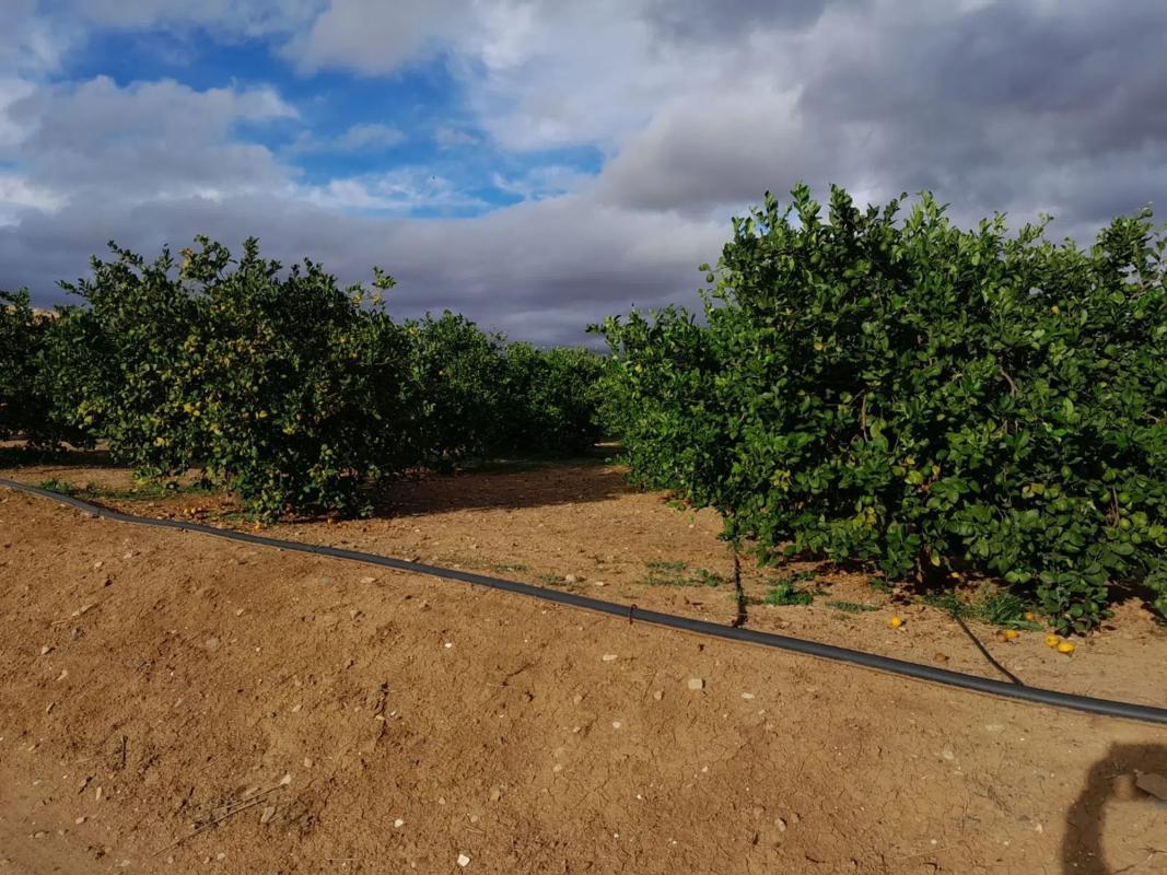 Terreno en venta en Alora, Malaga photo 1