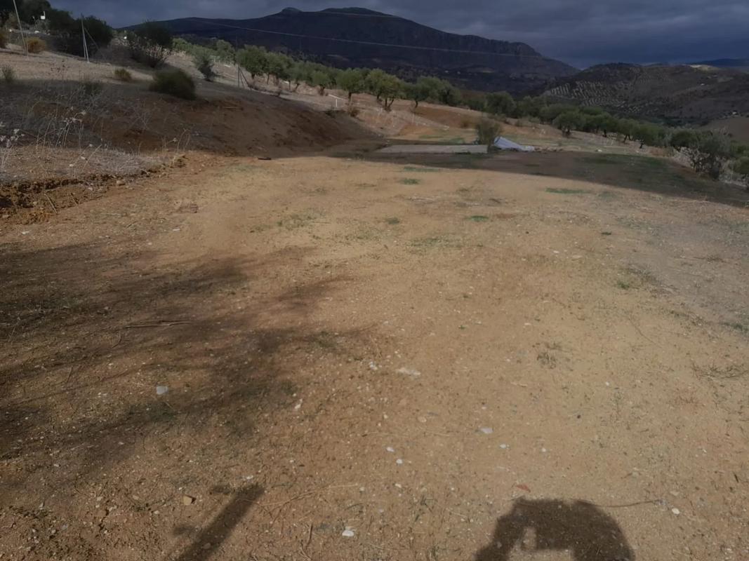 Land for sale in Alora, Malaga photo 4