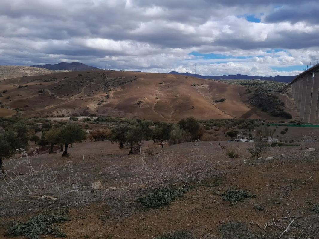 Land for sale in Alora, Malaga photo 5