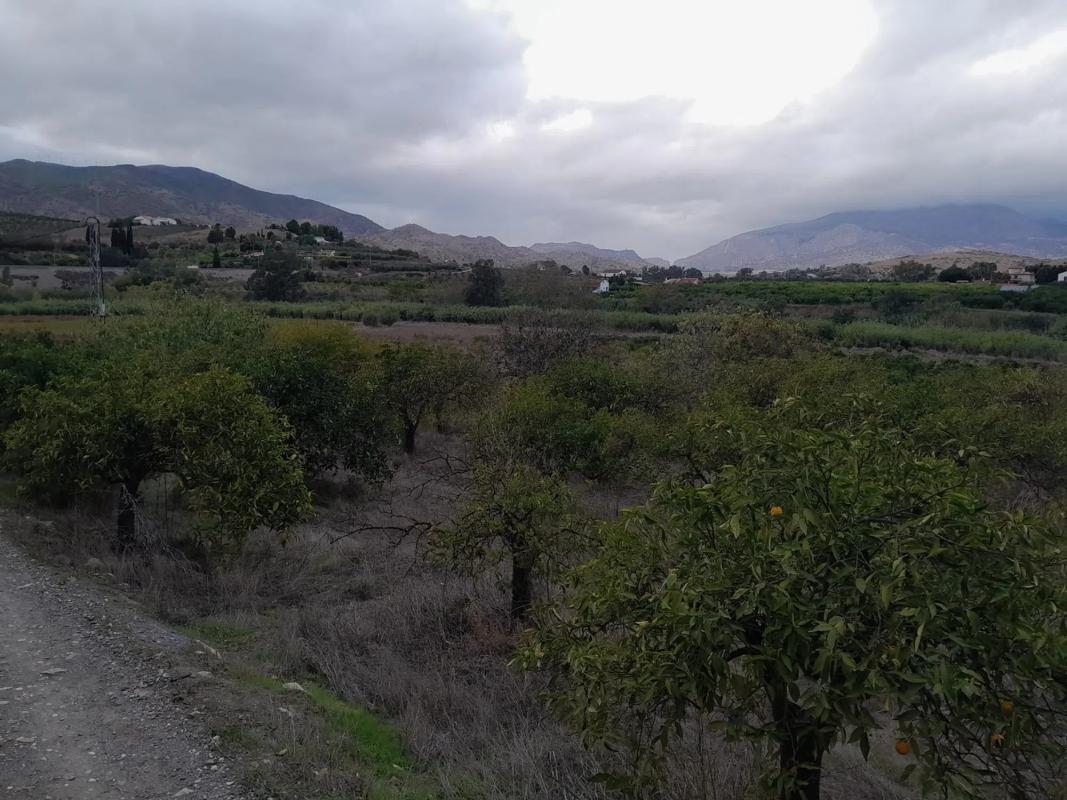 Działka na sprzedaż w Alora, Malaga photo 2