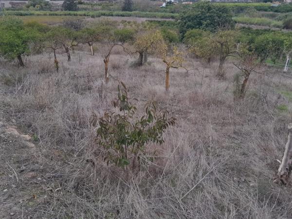 Terreno en Casablanquilla s/n photo 3
