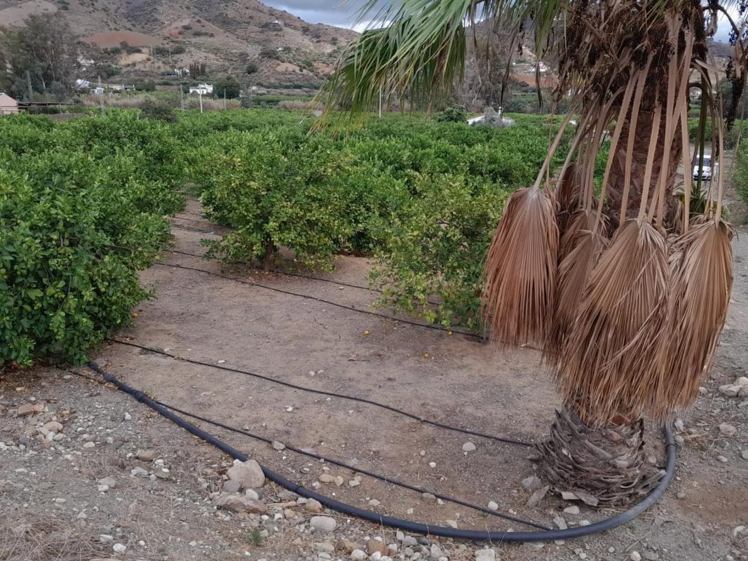 Terreno en venta en Alora, Malaga photo 5