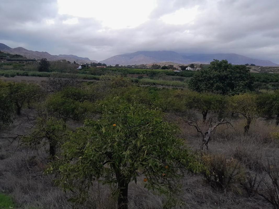 Działka na sprzedaż w Alora, Malaga photo 5