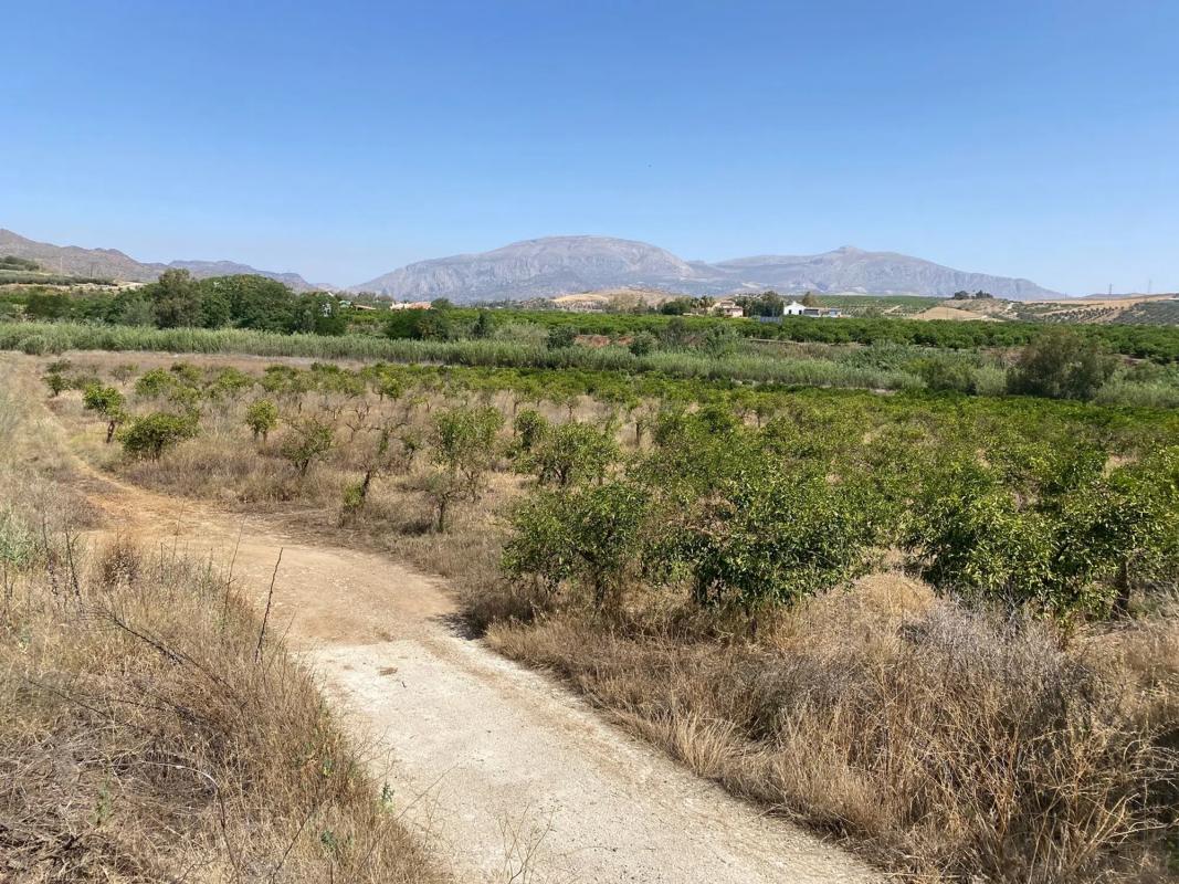 Terreno en venta en Alora, Malaga photo 4