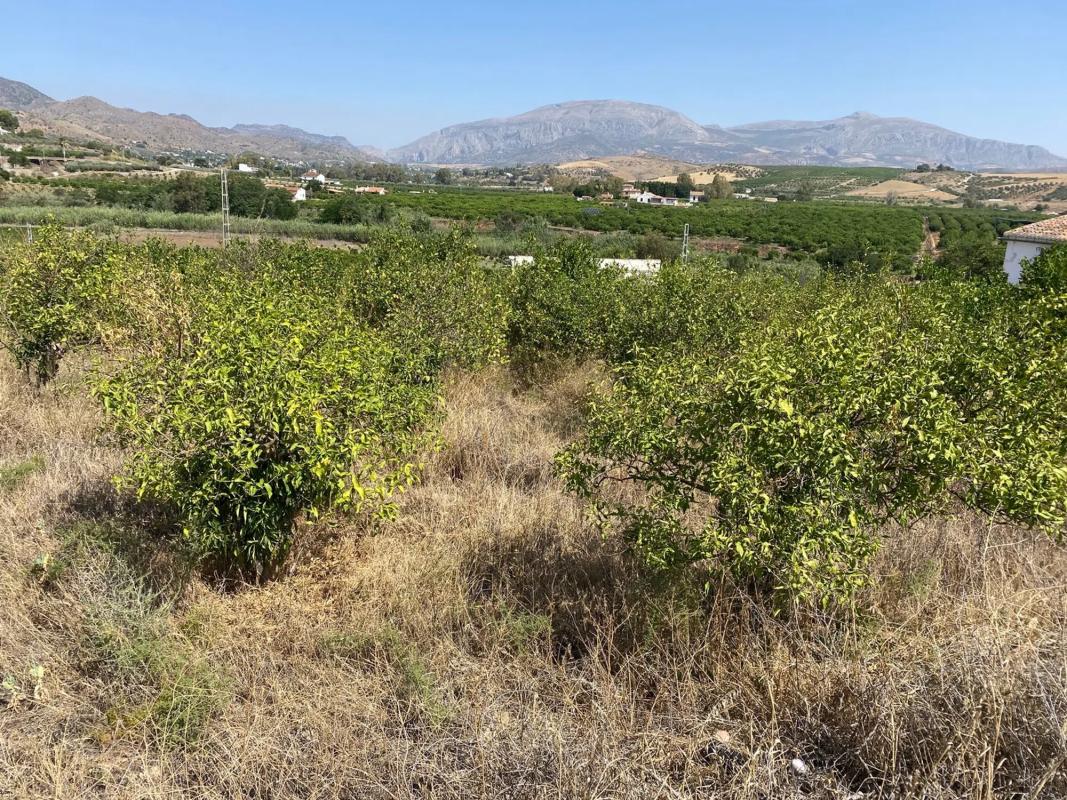 Terreno en venta en Alora, Malaga photo 5