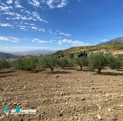 Terreno en Casarabonela photo 3