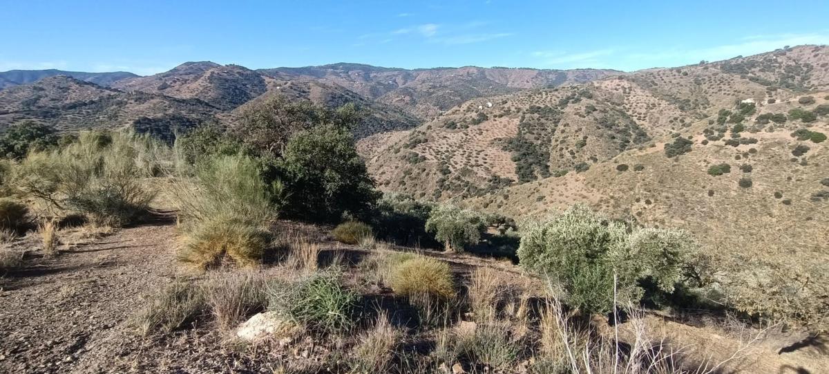 Land for sale in Málaga, Malaga photo 1