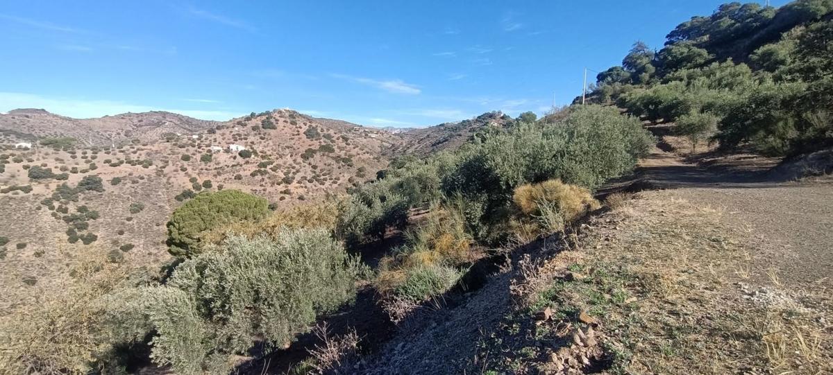 Land for sale in Málaga, Malaga photo 3