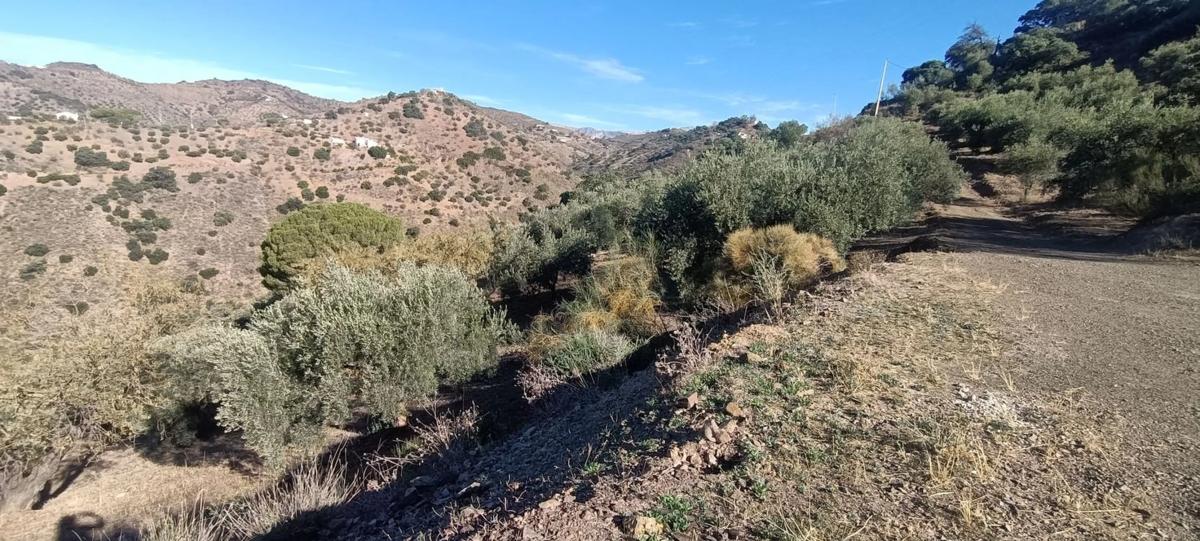 Land for sale in Málaga, Malaga photo 4