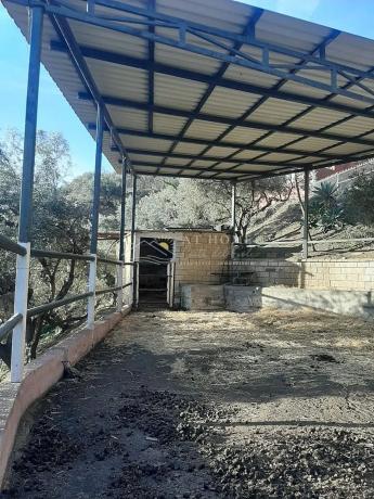 Terreno en calle de la Liebre photo 1