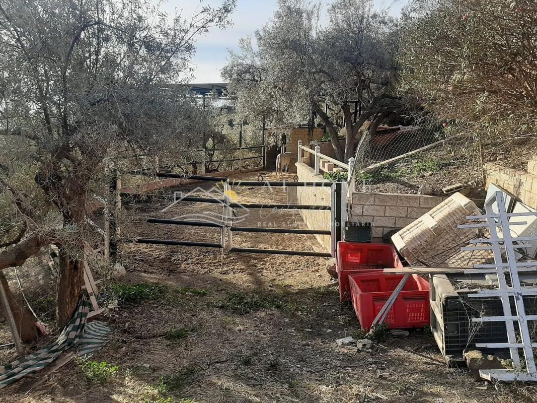 Terreno en venta en Torrox, Malaga photo 2