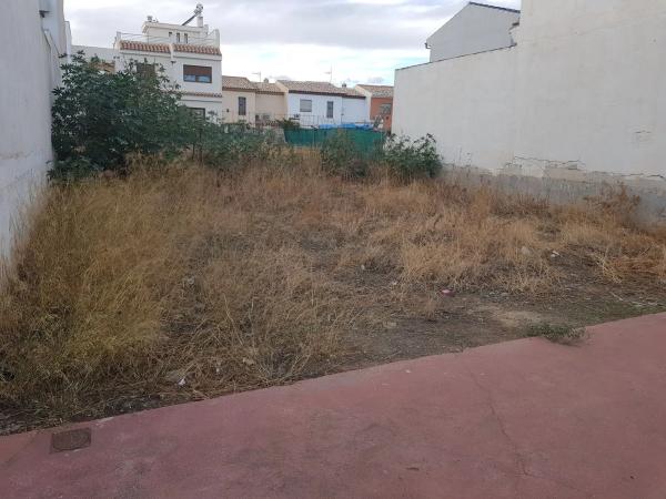 Terreno en Estación photo 3