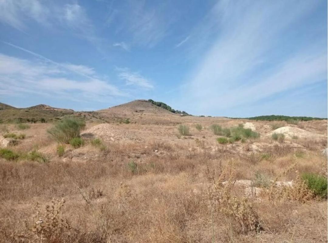 Land for sale in Alhaurín de la Torre, Malaga photo 4