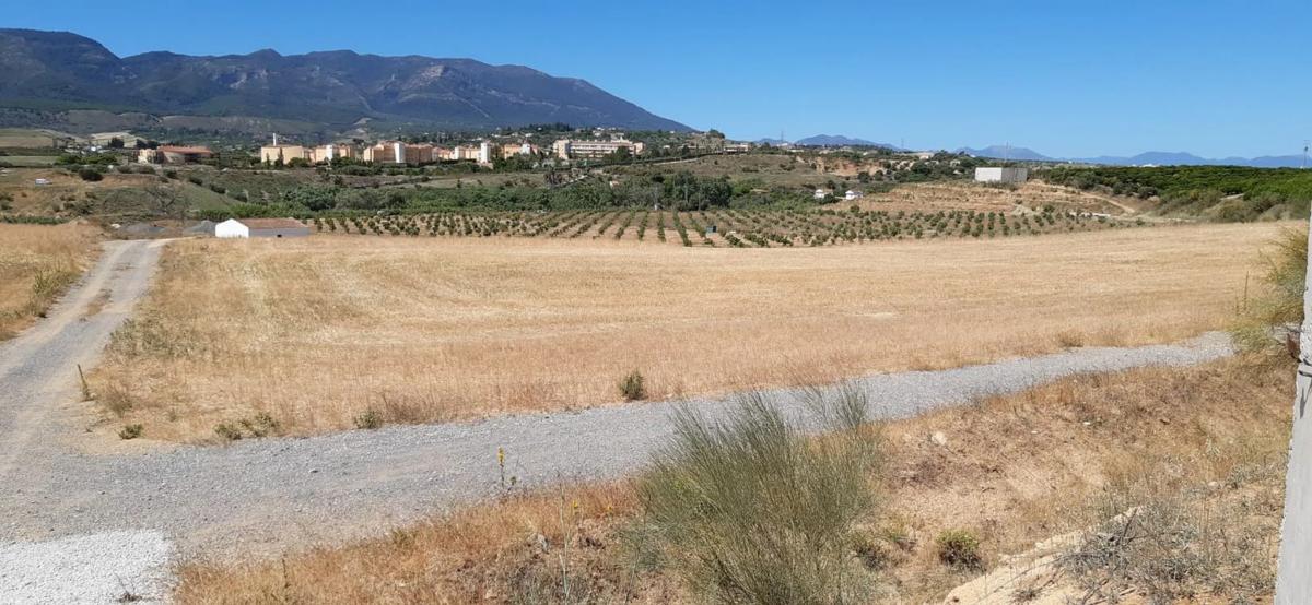 Land for sale in Alhaurín de la Torre, Malaga photo 4