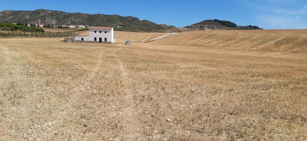 Land for sale in Alhaurín de la Torre, Malaga photo 5