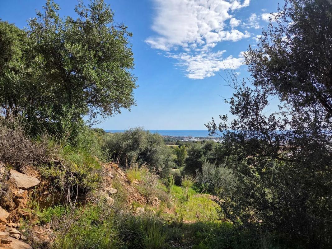 Terreno en venta en Marbella, Malaga photo 2