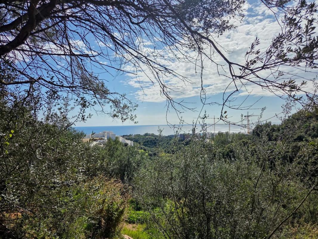Terreno en venta en Marbella, Malaga photo 4