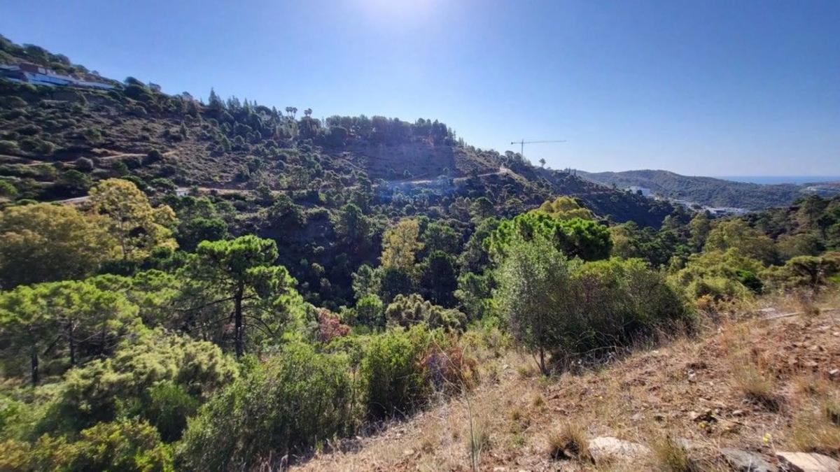 Terreno en venta en Benahavís, Malaga photo 2