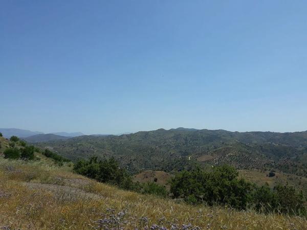 Terreno en Arroyo Causino, km 3 photo 1