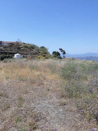 Terreno en Arroyo Causino, km 3 thumbnail 1