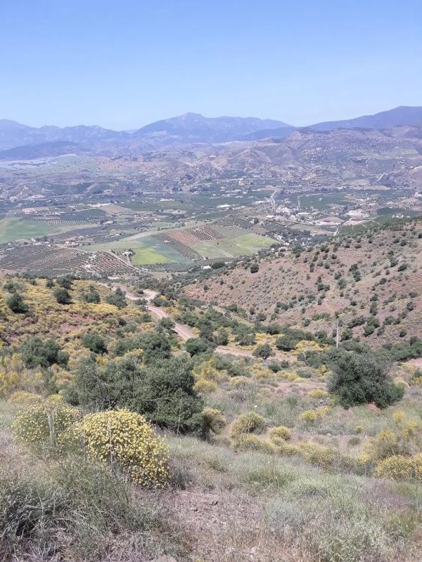 Terreno en venta en Alora, Malaga photo 3