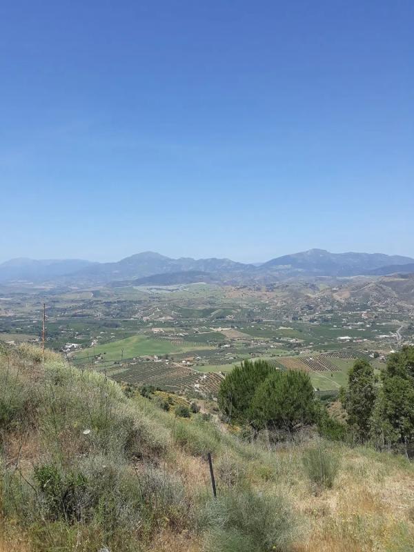 Terreno en venta en Alora, Malaga photo 4
