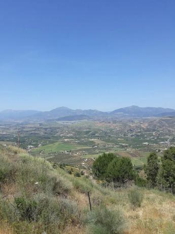 Terreno en Arroyo Causino, km 3 photo 4