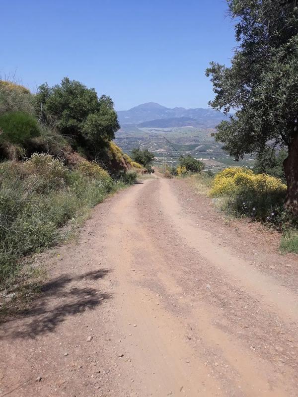 Terreno en venta en Alora, Malaga photo 5