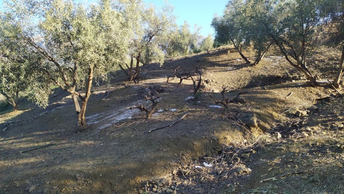 Terreno en venta en Riogordo, Malaga photo 1