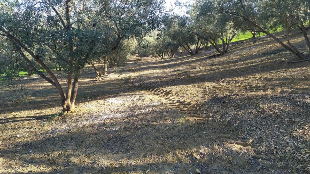 Terreno en venta en Riogordo, Malaga photo 2
