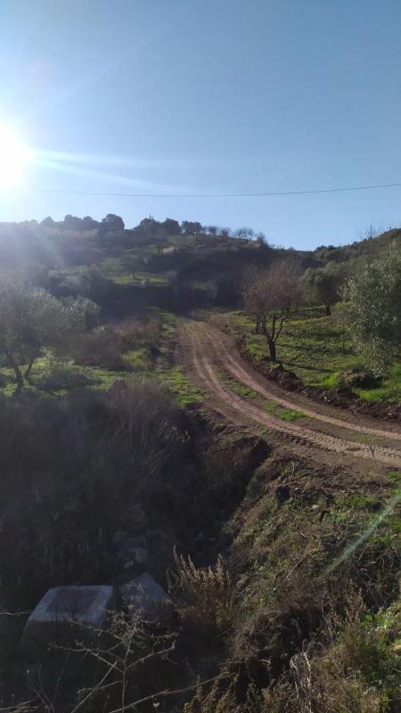 Terreno en venta en Riogordo, Malaga photo 4