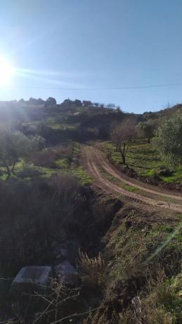 Terreno en La Morra s/n photo 4