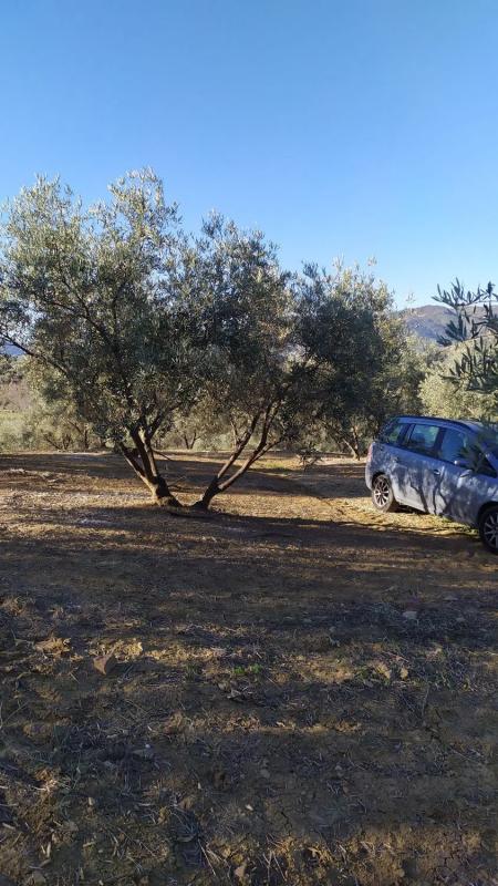 Terreno en venta en Riogordo, Malaga photo 5