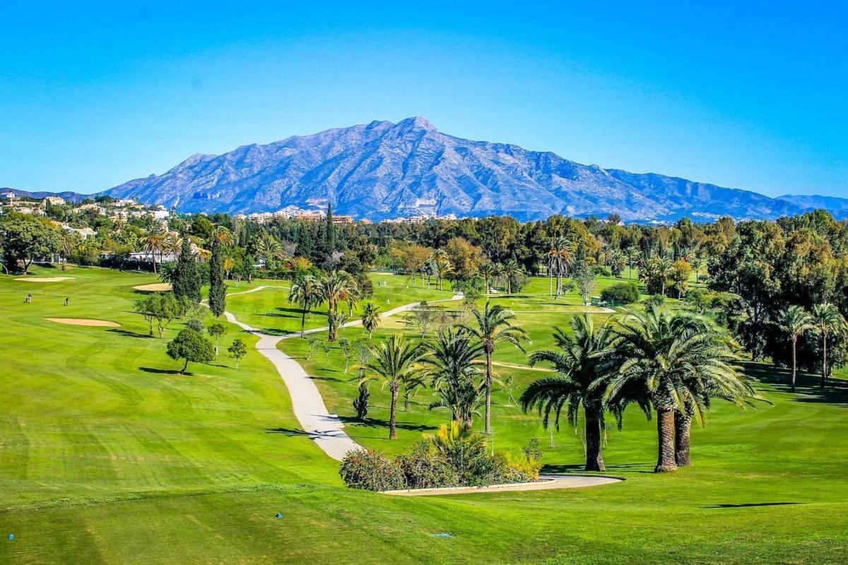 Terreno en venta en Estepona, Malaga photo 3