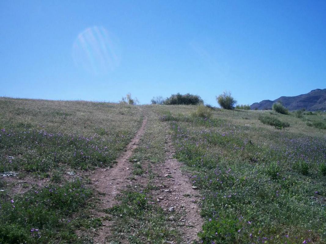 Terreno en venta en Alora, Malaga photo 2