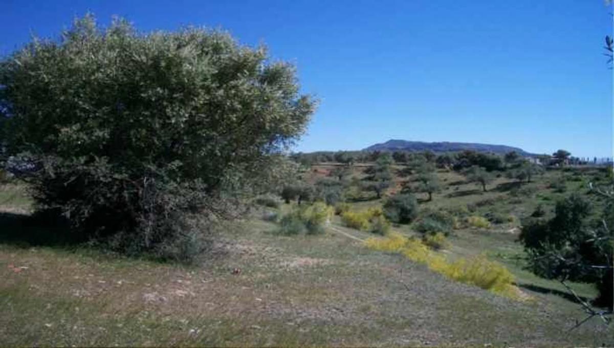 Terreno en venta en Alora, Malaga photo 5
