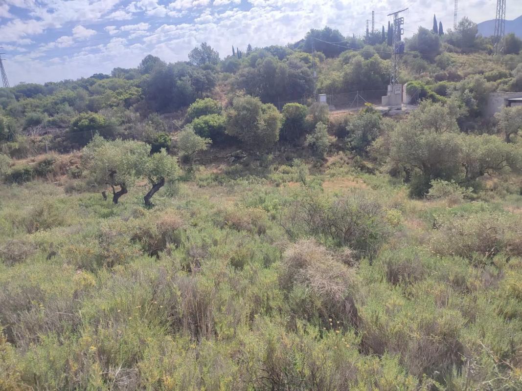 Land for sale in Coin, Malaga photo 4