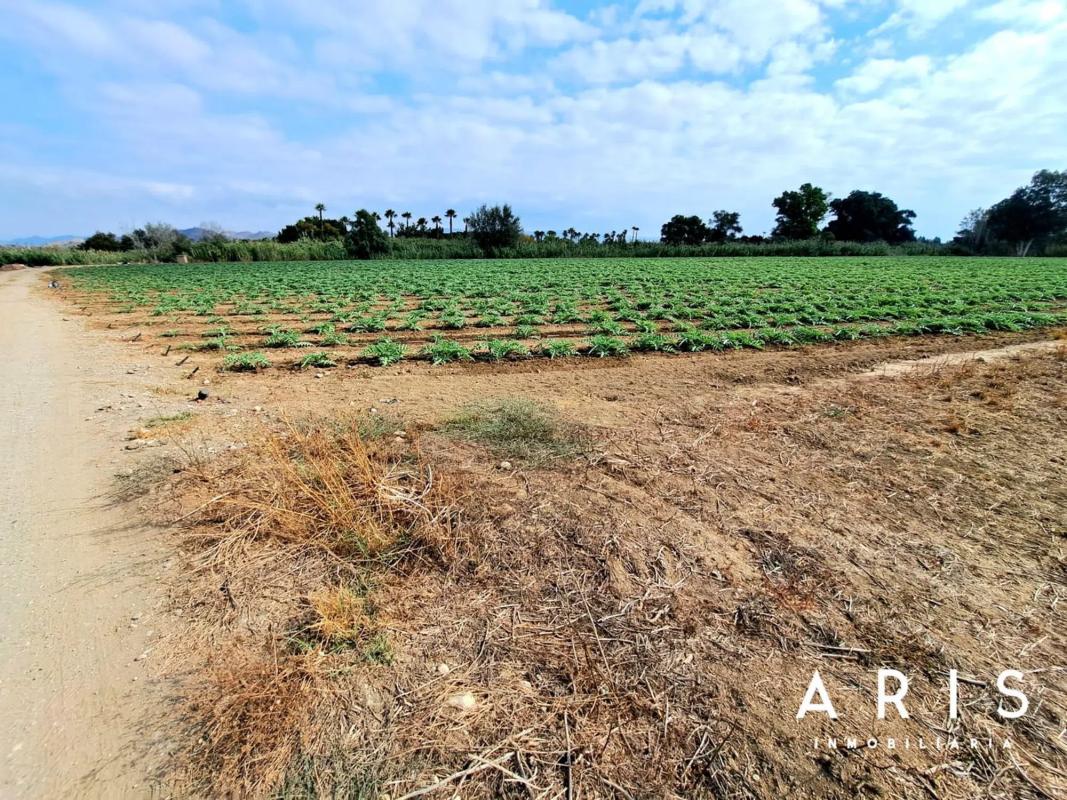 Land for sale in Alhaurín de la Torre, Malaga photo 1