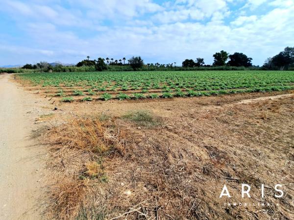 Terreno en El Romeral-Peñón de Zapata photo 1